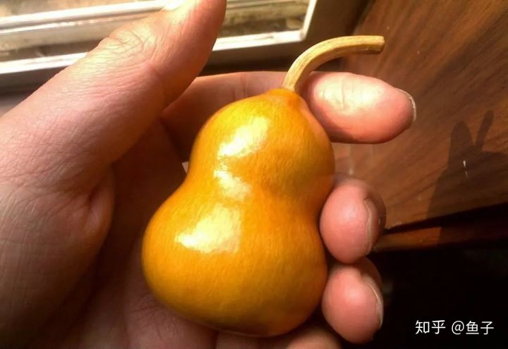 说葫芦